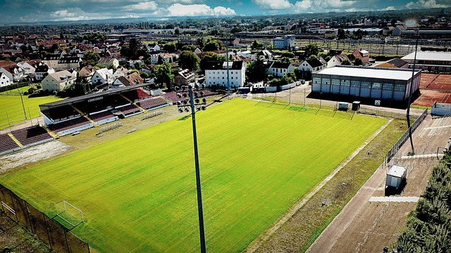 一直以她的 一直以她的