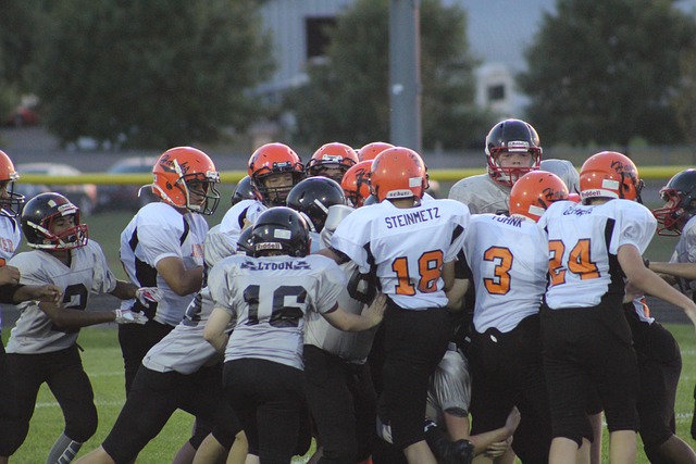 依靠个人的 依靠个人的