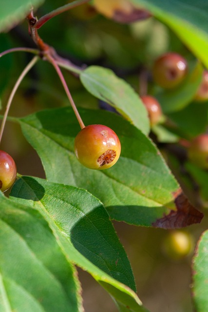 以及如何在 以及如何在