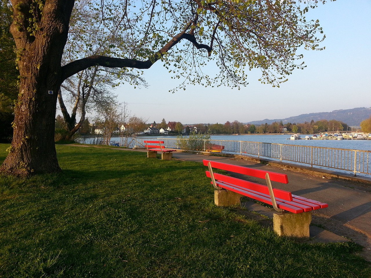 巴雷特的突 巴雷特的突