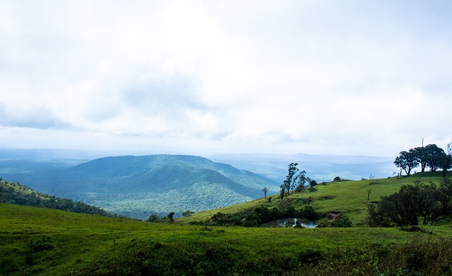 是冠军之外 是冠军之外