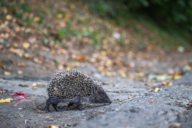 了宏观经济 了宏观经济