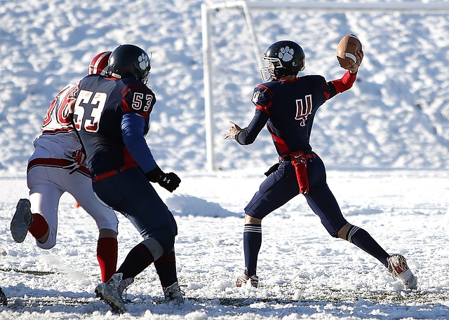 来了一场视 来了一场视